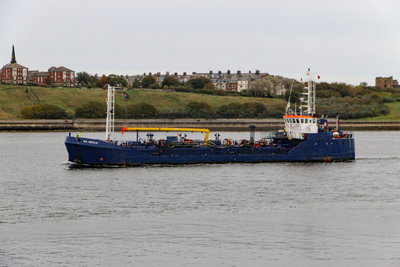 Rix Merlin, 25 October 2019 (5)_1.JPG