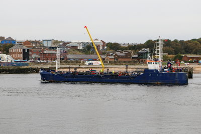 Rix Merlin, 25 October 2019 (8)_1.JPG