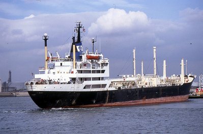 SAVONETTA 230891b.jpg