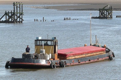 11257panary250711x5.jpg