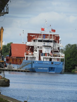 WILSONBILBAO230620Goole.jpg