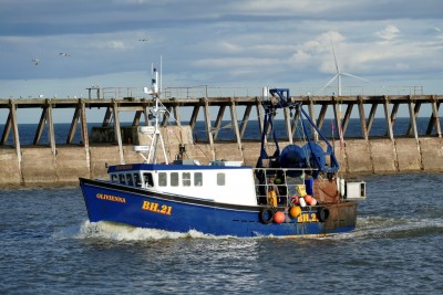 OLIVIENNA. BH-21. 6-10-20.jpg