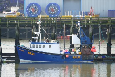 OLIVIENNA. BH21. 16-1-21. (2).jpg