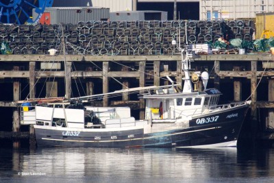 ARVAKR (OB 337).jpg