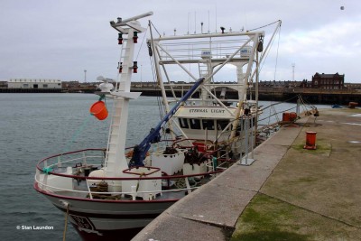 ETERNAL LIGHT (FR35).jpg