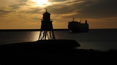 DSC_3033 Carrier Z .jpg