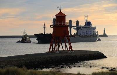 DSC_3048 Mardinik Z .jpg