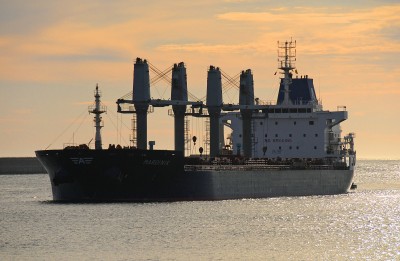 DSC_3046 Mardinik Z .jpg