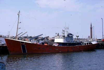 CAM TIGER 050787a.jpg