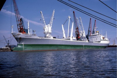 KAMATERI 050787a.jpg