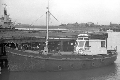 southlander 170374 x1.jpg