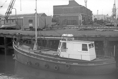 southlander 170374 x2.jpg