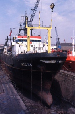 CRISUL ALB 200796a.jpg (295.06 KiB) Viewed 31526 times CRISUL ALB 200796a.jpg