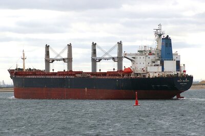 GREAT MAJESTY 250909d.JPG