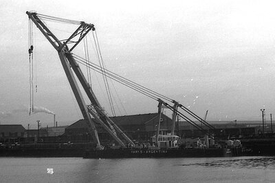 magnus vi 031274.jpg