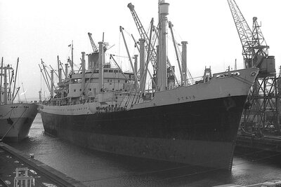 otaio 281274 x1.jpg
