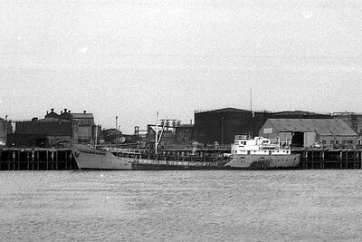 theodora 130175.jpg