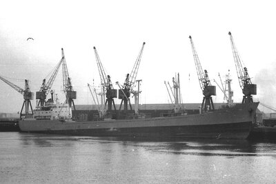 hoegh beaver 220275.jpg