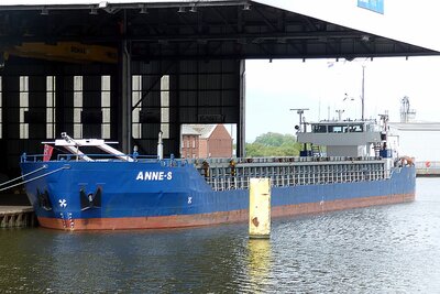 25010 anne-s 050525 x3.jpg