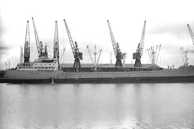 hoegh beaver 250575.jpg
