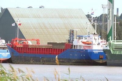 25031 amadeus smaragd 140725.jpg