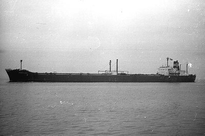 fortuna 111275 x1.jpg