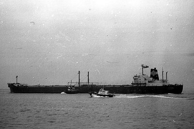 fortuna 111275 x2.jpg