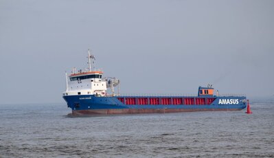 eems bison 2-2-26.jpg