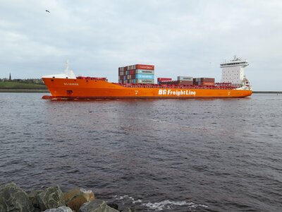 BG Orange, 9964637,28 February 2026 (7) resize.JPG