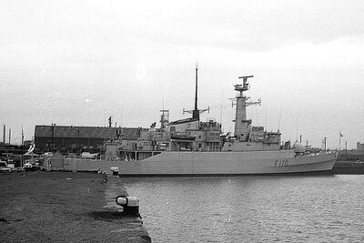 antelope - f170 110376.jpg