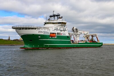 Grand Canyon lll, 9695963, 31 March 2026 (7) resize.JPG