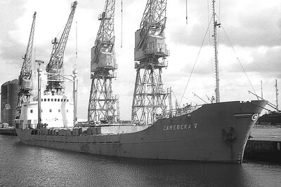 carebeka v 040476.jpg